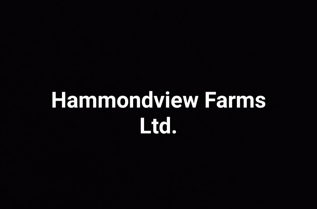 Hammondview Farms Ltd.